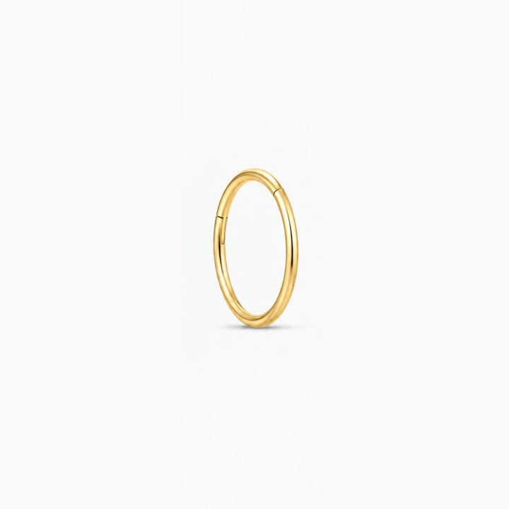 Essential Titanium Seamless Hoop – Single